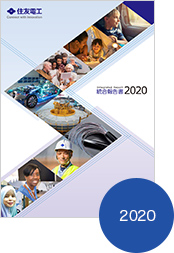 統合報告書2020