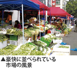 豪快に並べられている市場の風景