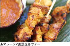 マレーシア風焼き鳥 サテー