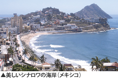 美しいシナロワの海岸（メキシコ）